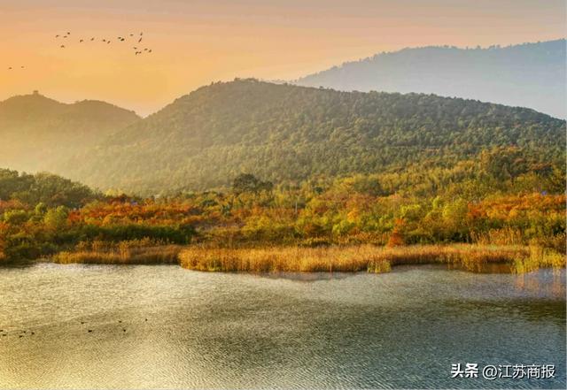 致镇江茅山：山风不会停，茅山深处是吾乡