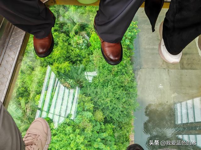 参观广州长隆野生动物园，全程感觉眼累手累腿不累