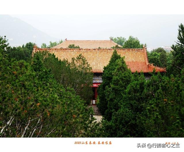 山东行游影记（309）—泰安岱庙（五）