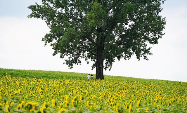 “害怕社交，喜欢独处，封闭自我”：你是社交恐惧症吗？