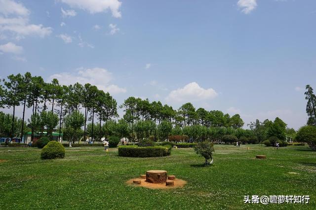 云南两大高原湖泊，滇池和洱海哪个大？
