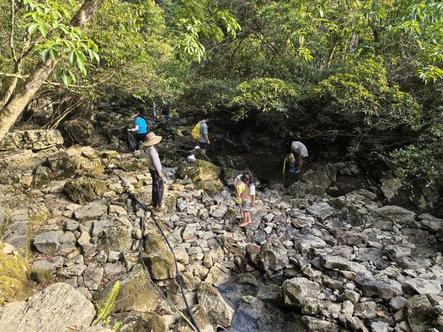 带小朋友去贵州茂兰，连环探洞加漏斗原始森林徒步二日游全攻略！