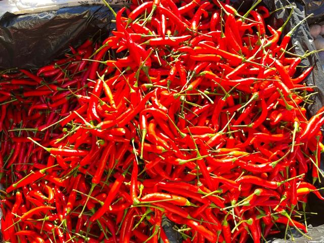 秋色满筐 早市上的色彩交响