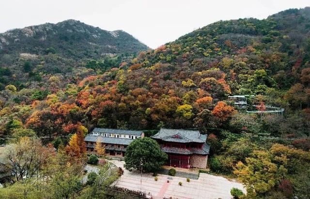 黄陂赏秋,这样玩才够味!