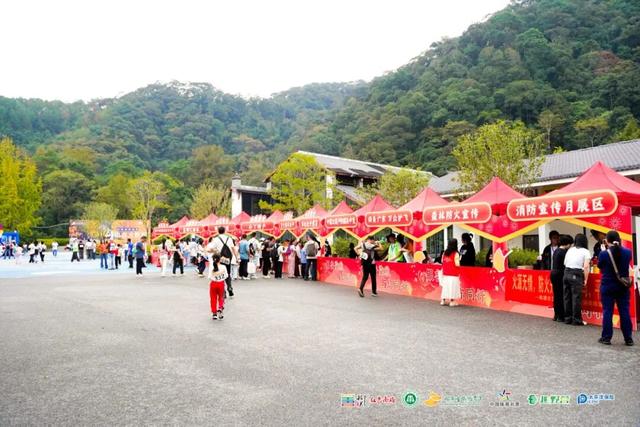 南雄举办银杏观赏季系列活动——第六届广东省森林文化周南雄分会场暨“韶华之约”青年交友联谊活动