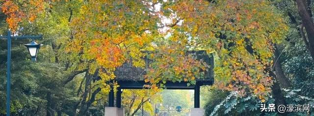 秋色“进度条”加载中，狼山森林公园赏秋点等你来打卡→
