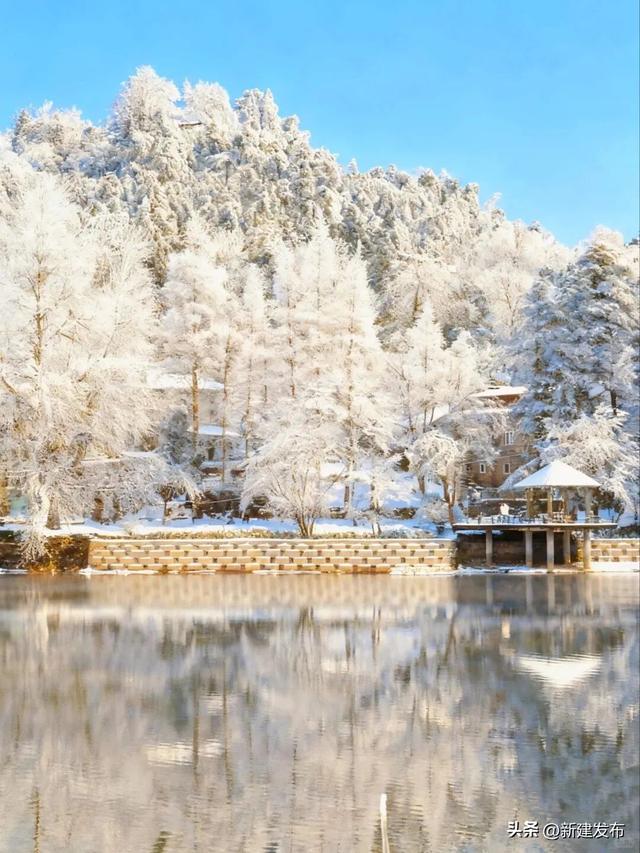 江西多地出现大片雾凇！马上又要反转！即将升温→