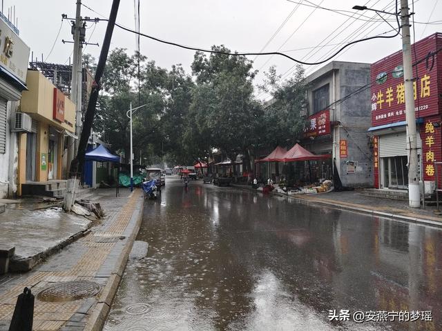 白洋淀之行