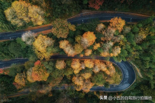 江浙沪秋季徒步攻略｜6 条绝美秋叶路线，新手进阶全覆盖