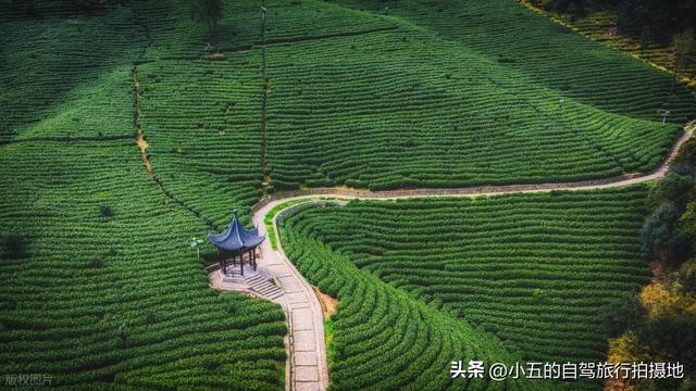 江浙沪 2h 微度假攻略|5 个神仙地 48h 躺平计划,打工人逃离城市必藏