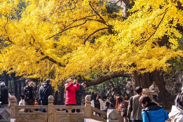 高清大图带你领略晋祠的秋
