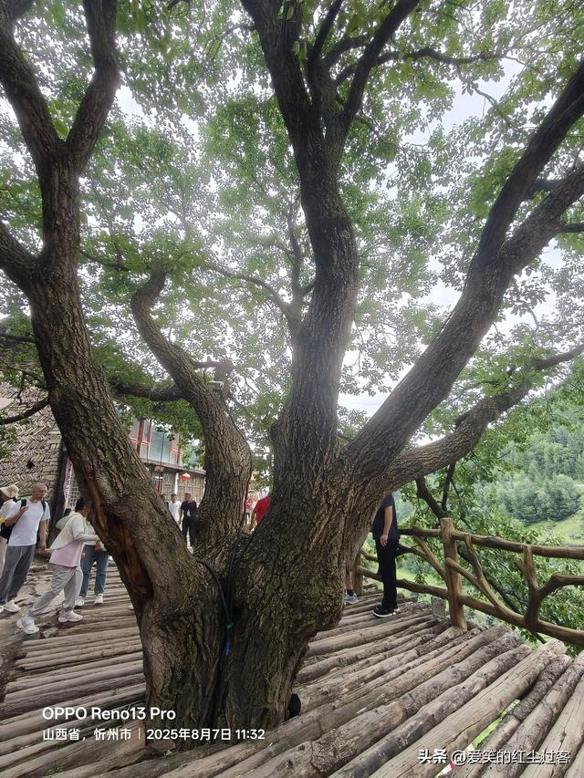我的旅行日记——探秘芦芽山秘境之悬空村