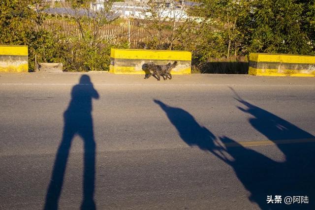 大理有个水库跟金沙江相通,风光潋滟,是本地人露营的宝藏去处