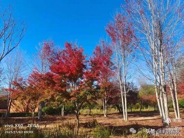 青岛即墨马山寻趣:一座地质公园的秋日私语|申艳娟