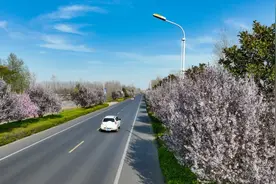 连云港：市政府批复，有关这些道路命名→图片