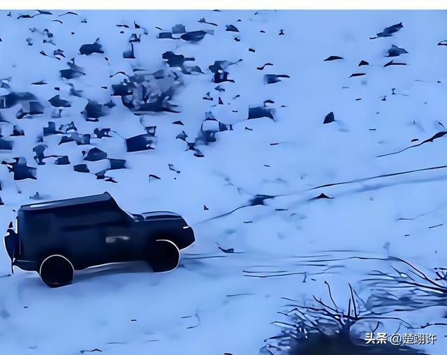 女子开车碾压草场后续：扬言撞死牧民	，真实身份被扒，公司被牵连