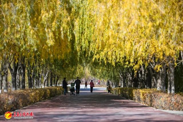 收藏！乌鲁木齐秋日Citywalk好去处，这几个新公园必逛