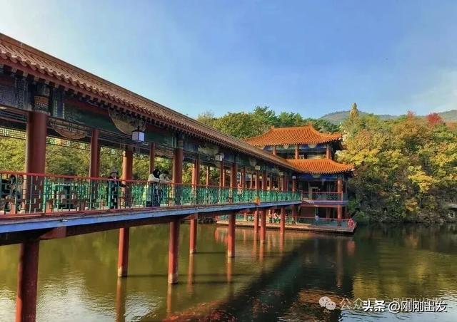 免费！大连横山景区枫叶最佳观赏期到了，快来打卡吧