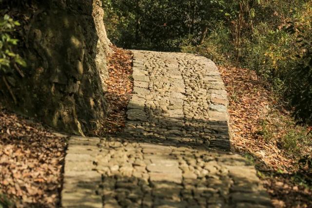 进化藏了个神仙徒步地，出片率极高！