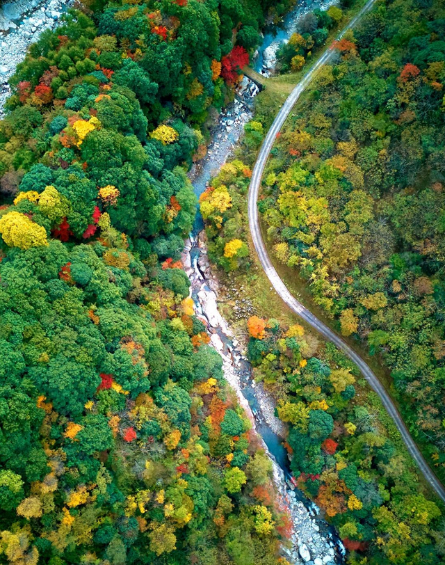 走不出这画了，我已被平武的彩林迷倒！