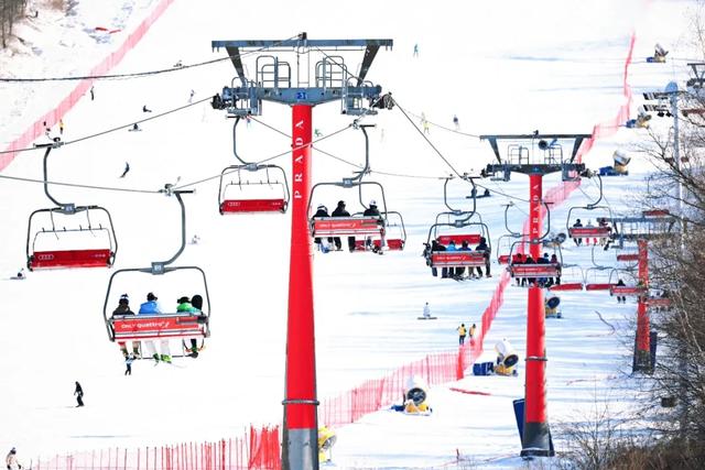 小众词“雪假”,大众词“羡慕”🤩