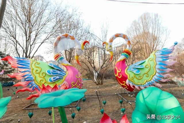 先睹为快！2026彩灯大世界将于2月6日正式亮灯——