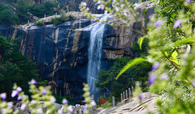 盛夏寻凉处，蒙山自生风！一起躲进21℃的夏天！
