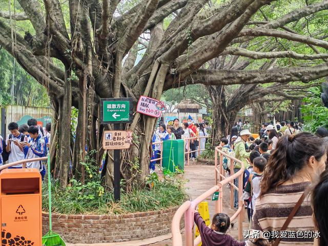 参观广州长隆野生动物园，全程感觉眼累手累腿不累