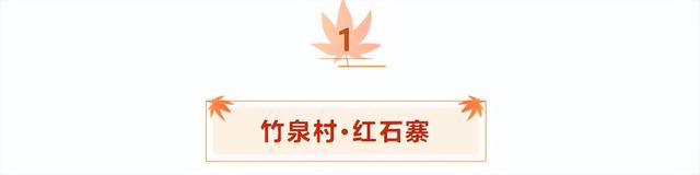 临沂「红杉」「红枫」浓度拉满，出片率100%
