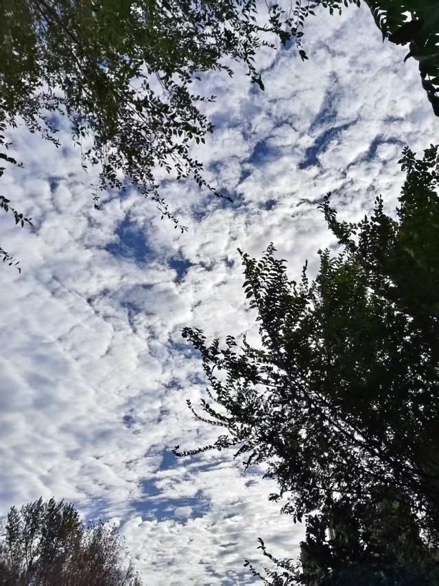 我总结了一下老年夫妻的现状，赶紧来对照一下，看看有你的影子吗