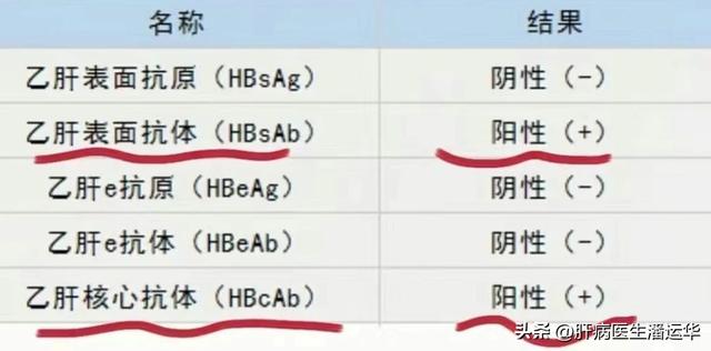 乙肝五项检查单发现阳性别着急，这几项阳性反而是好事！