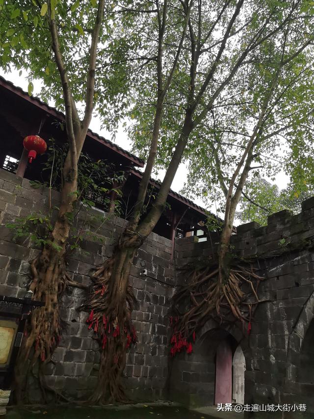 元旦去哪玩儿？合川，武胜3日游刚刚好。