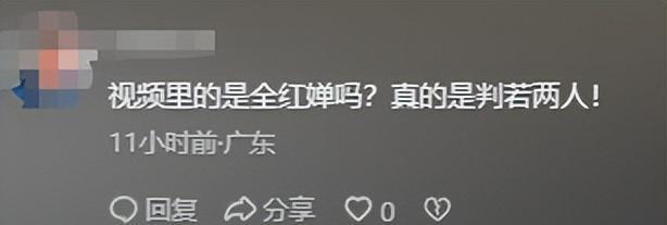 全红婵入学仅4天，恶心事情再发生，官媒：退不退由她和团队决定
