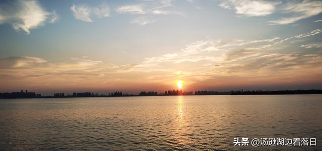 汤逊湖的橘色褶皱