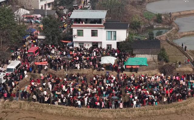 “摇人按猪”女孩呆呆走红后：有人凌晨4点赶去；收费后当地一农庄就餐人数从600桌骤降至30桌