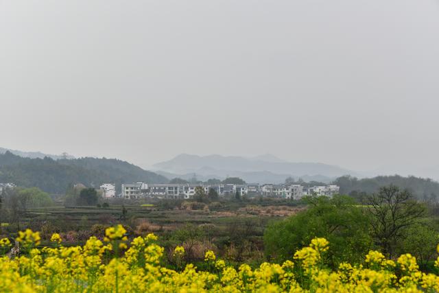婺源月亮湾
