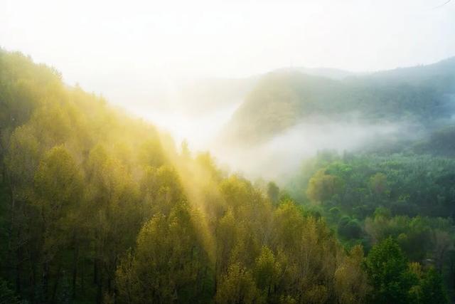 【文明旅游】山西：五台山的秋天，太治愈了！