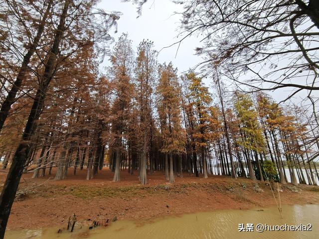 佛山真好逛——火红的小布村