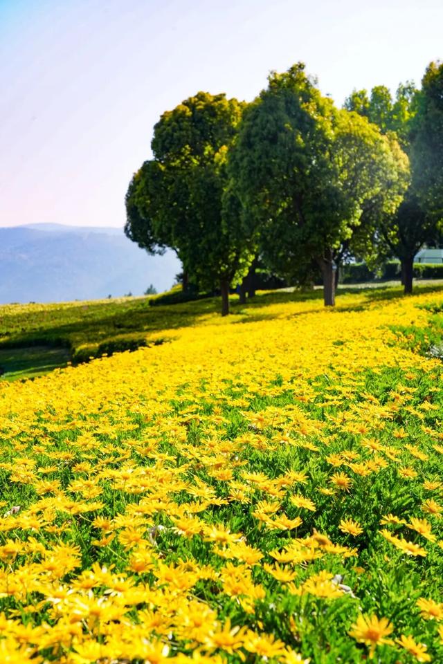 弥勒太平湖，免门票！