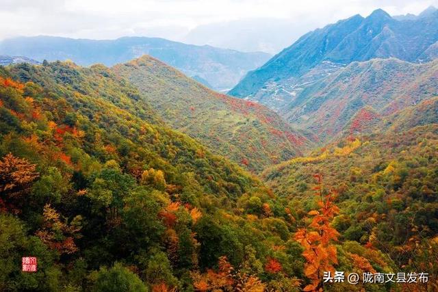 醉美文县：秋色斑斓大岭梁