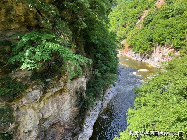 绿野仙踪+山水秘境！快来黑河抓住夏天的尾巴，奔赴一场绿意清凉之约