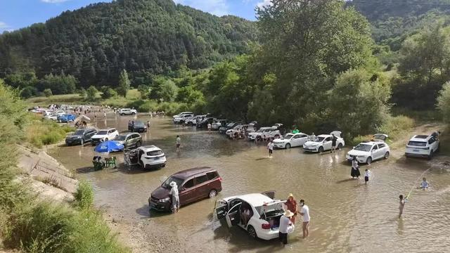 秦州区李子园成为最火爆避暑打卡地,旅游经济迎来新增长点!