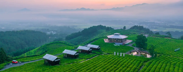 本地特色与茶旅融合