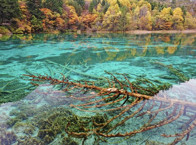 九寨沟的颜值巅峰：层林尽染、海子映彩
