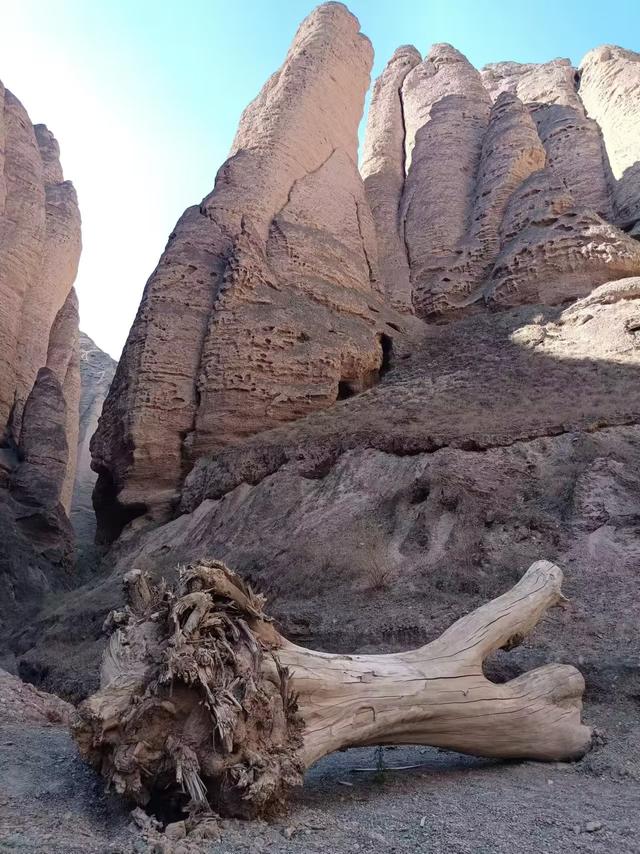 又踏甘肃地之六十四 白银篇之四 景泰县（四） 黄河石林景区（3）