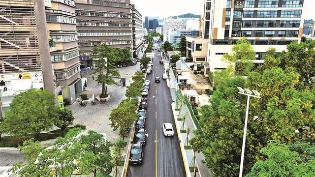 [广东 深圳市龙华区大浪街道]