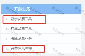 我叫数电票！我又变了！5月起，这是我最新最全的开具方法和操作实务！图片