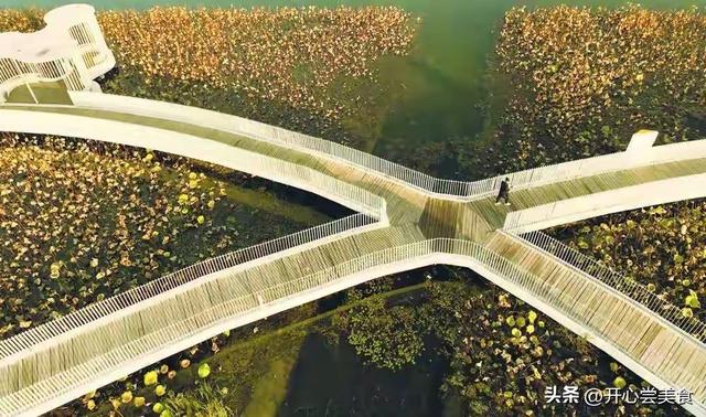 石家庄滹沱河开挂了！初冬美成油画，拍照还不要钱！