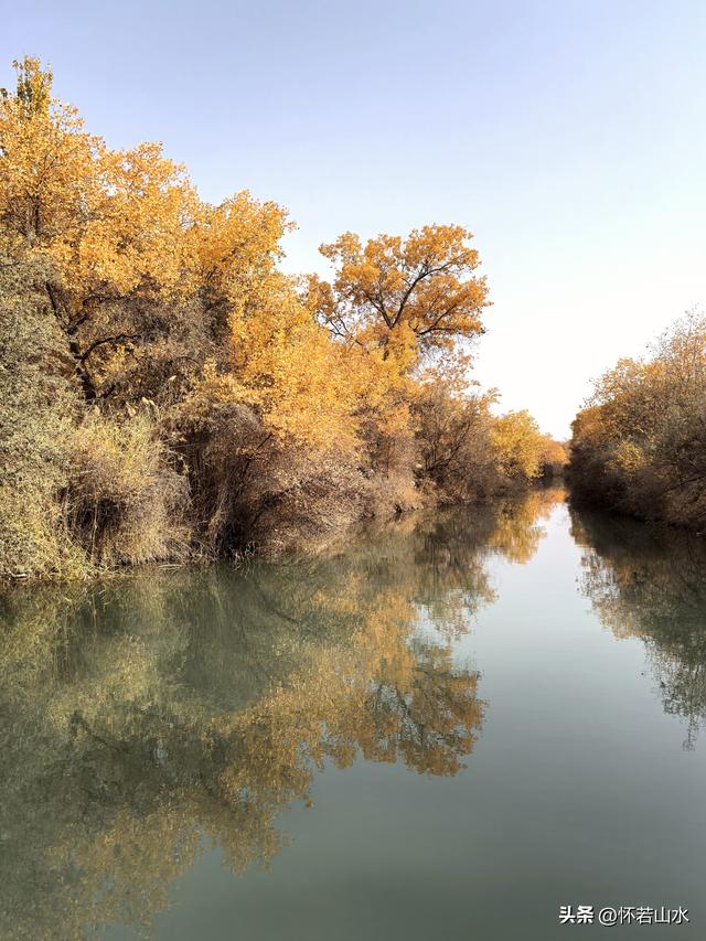 2025环南疆沙漠铁路背包自由行日记(4)——游览泽普金湖杨景区