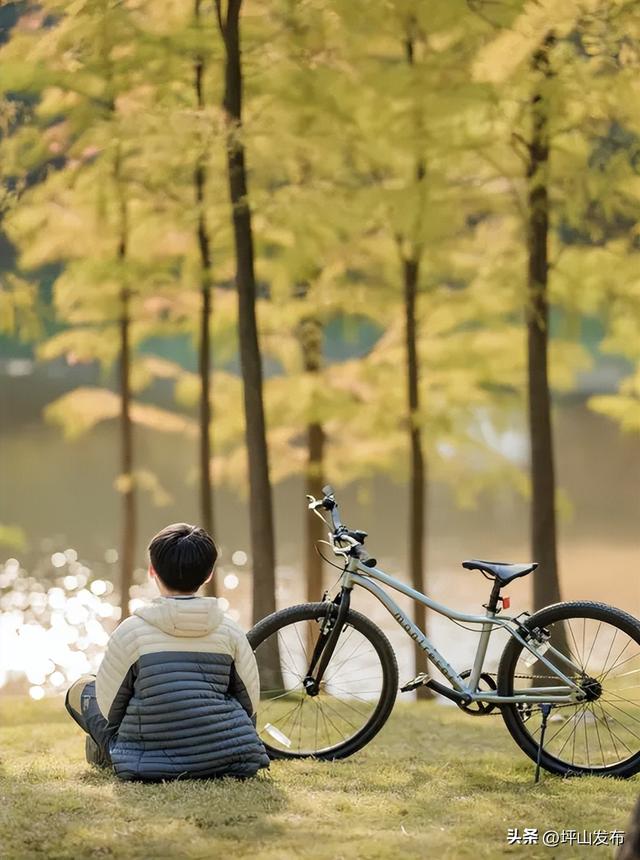 骑遇坪山① | 宝藏“高颜值”骑行线，拍出森系大片刷爆朋友圈